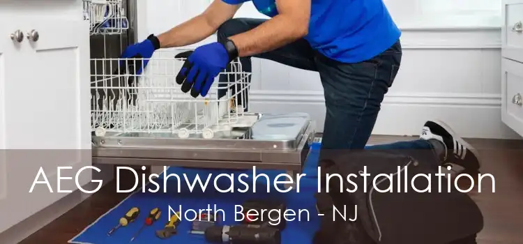 AEG Dishwasher Installation North Bergen - NJ