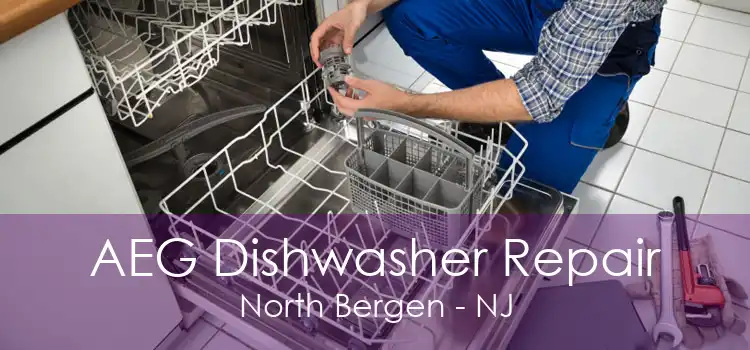 AEG Dishwasher Repair North Bergen - NJ