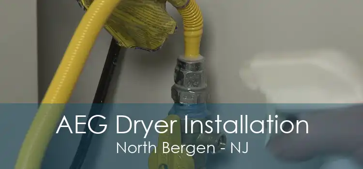 AEG Dryer Installation North Bergen - NJ