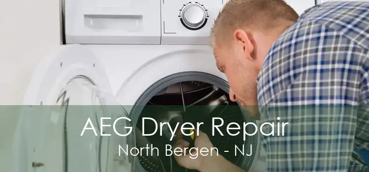 AEG Dryer Repair North Bergen - NJ