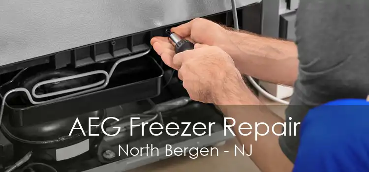 AEG Freezer Repair North Bergen - NJ