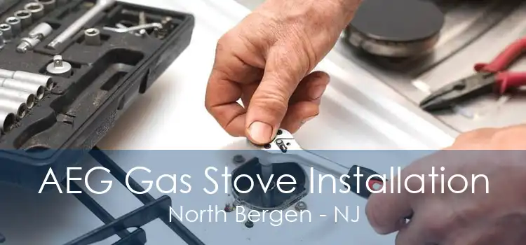AEG Gas Stove Installation North Bergen - NJ