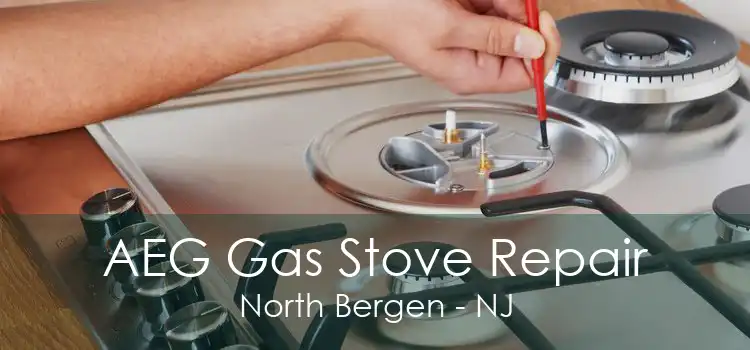 AEG Gas Stove Repair North Bergen - NJ