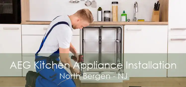 AEG Kitchen Appliance Installation North Bergen - NJ