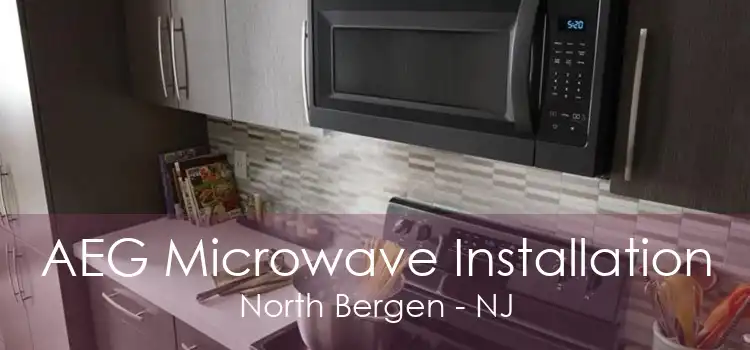 AEG Microwave Installation North Bergen - NJ