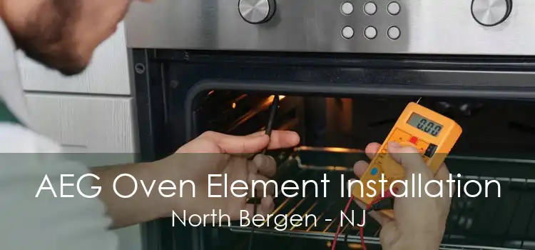 AEG Oven Element Installation North Bergen - NJ