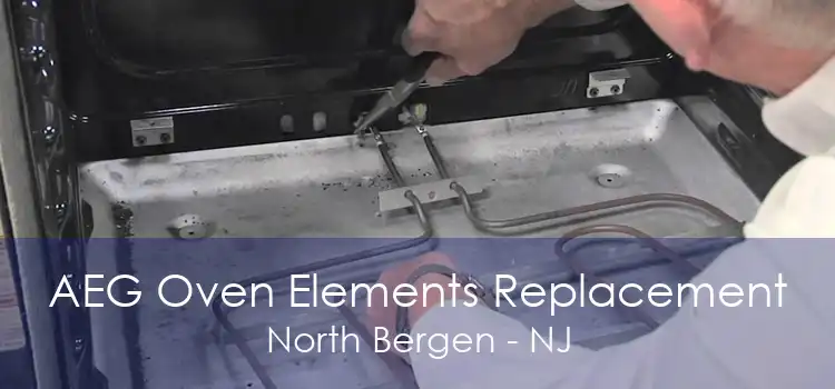 AEG Oven Elements Replacement North Bergen - NJ