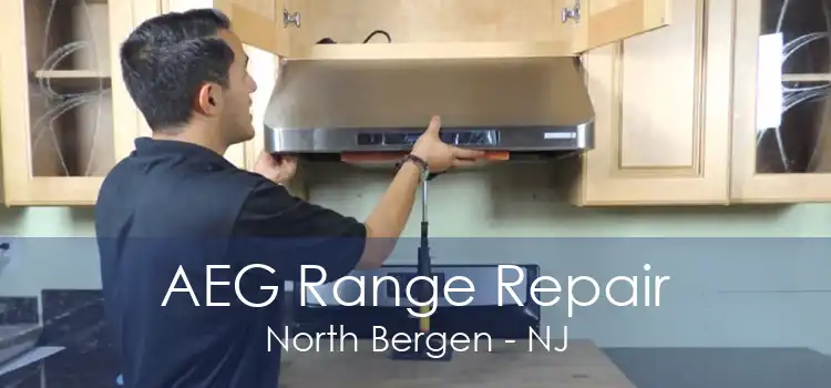 AEG Range Repair North Bergen - NJ