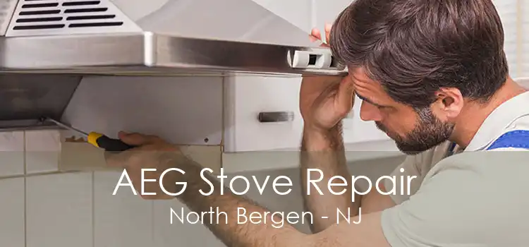 AEG Stove Repair North Bergen - NJ