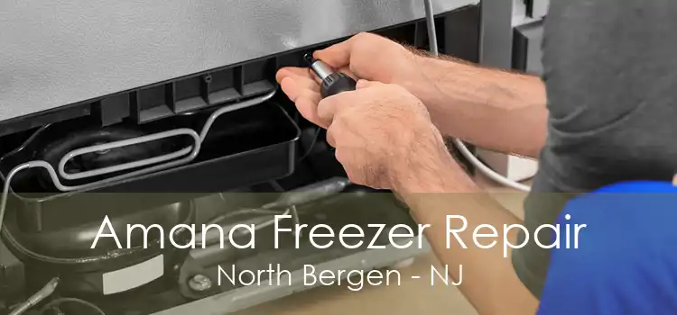 Amana Freezer Repair North Bergen - NJ