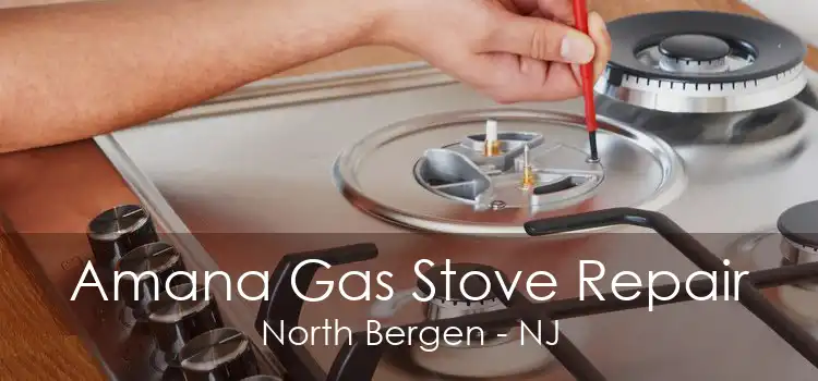 Amana Gas Stove Repair North Bergen - NJ