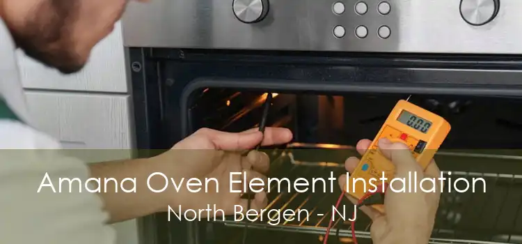 Amana Oven Element Installation North Bergen - NJ