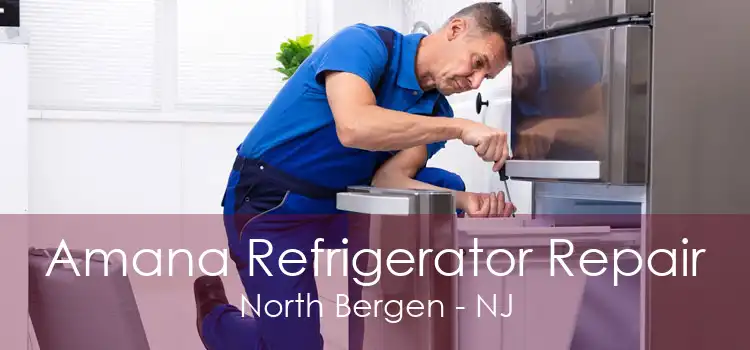 Amana Refrigerator Repair North Bergen - NJ