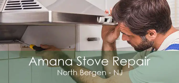 Amana Stove Repair North Bergen - NJ