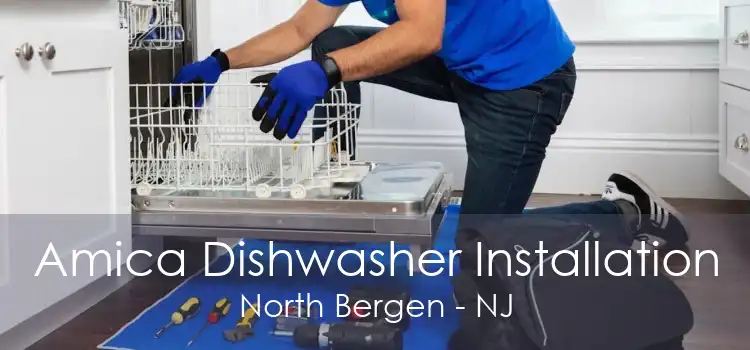 Amica Dishwasher Installation North Bergen - NJ