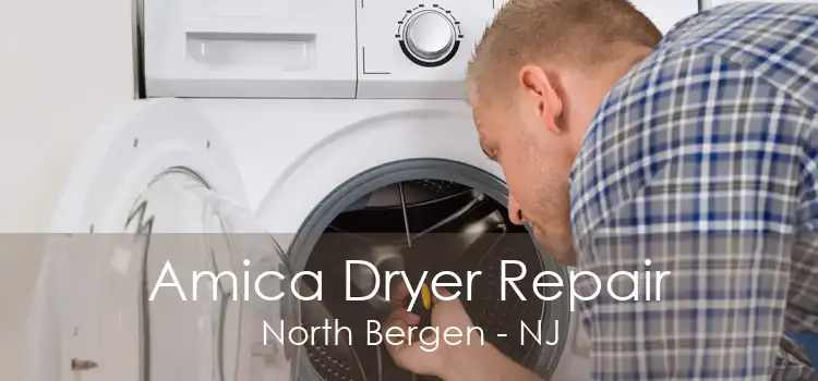 Amica Dryer Repair North Bergen - NJ