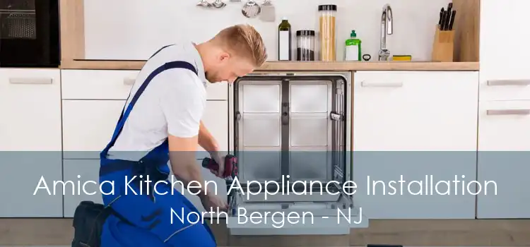 Amica Kitchen Appliance Installation North Bergen - NJ