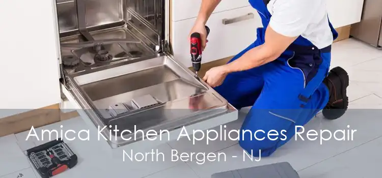 Amica Kitchen Appliances Repair North Bergen - NJ