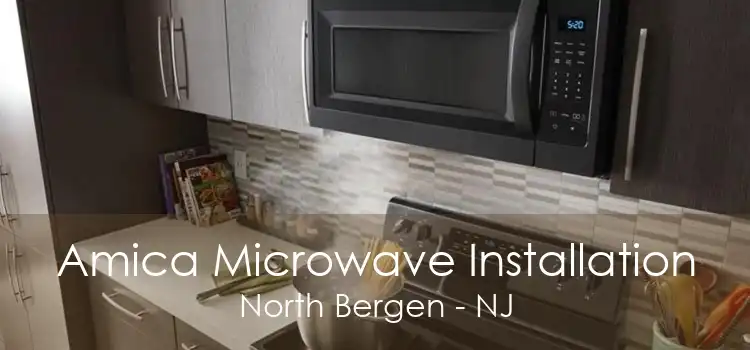 Amica Microwave Installation North Bergen - NJ