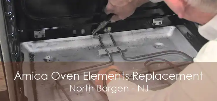 Amica Oven Elements Replacement North Bergen - NJ