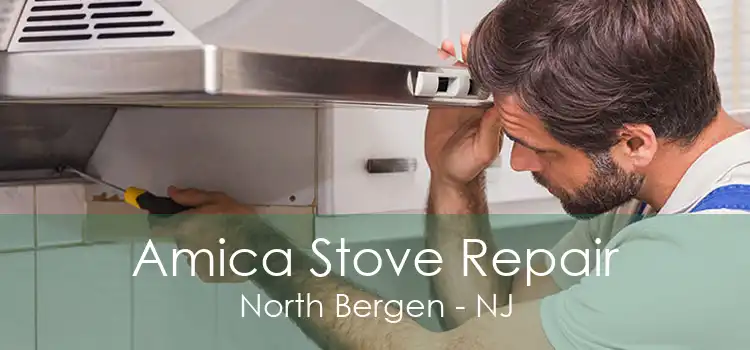 Amica Stove Repair North Bergen - NJ