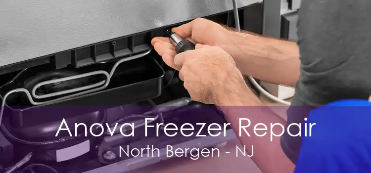 Anova Freezer Repair North Bergen - NJ