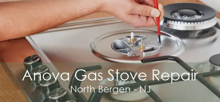 Anova Gas Stove Repair North Bergen - NJ