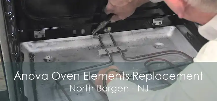 Anova Oven Elements Replacement North Bergen - NJ