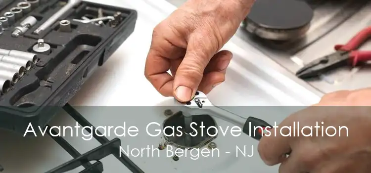 Avantgarde Gas Stove Installation North Bergen - NJ