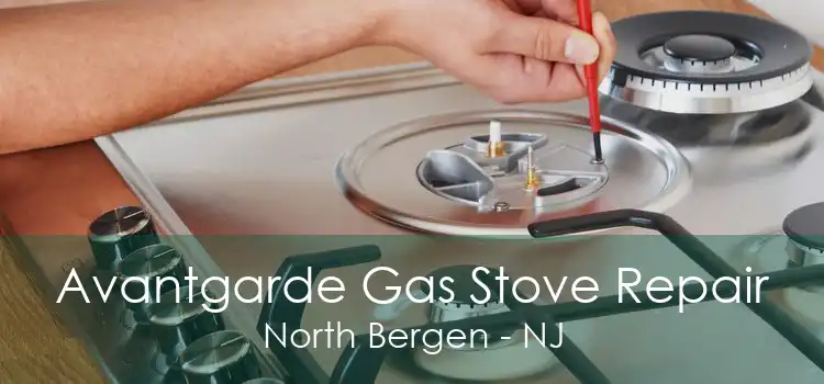 Avantgarde Gas Stove Repair North Bergen - NJ