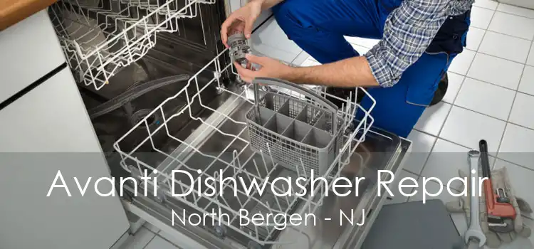 Avanti Dishwasher Repair North Bergen - NJ
