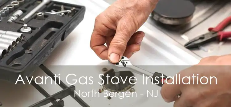 Avanti Gas Stove Installation North Bergen - NJ