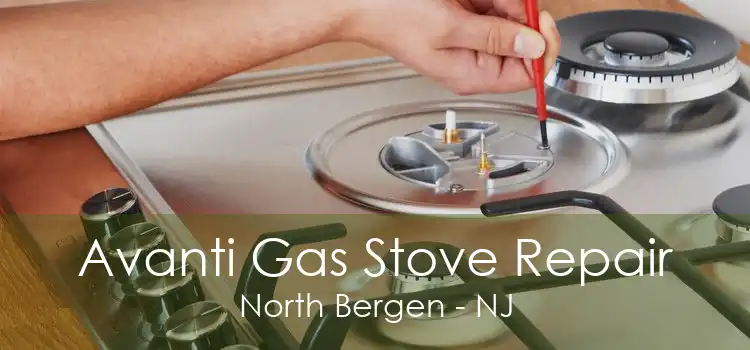 Avanti Gas Stove Repair North Bergen - NJ