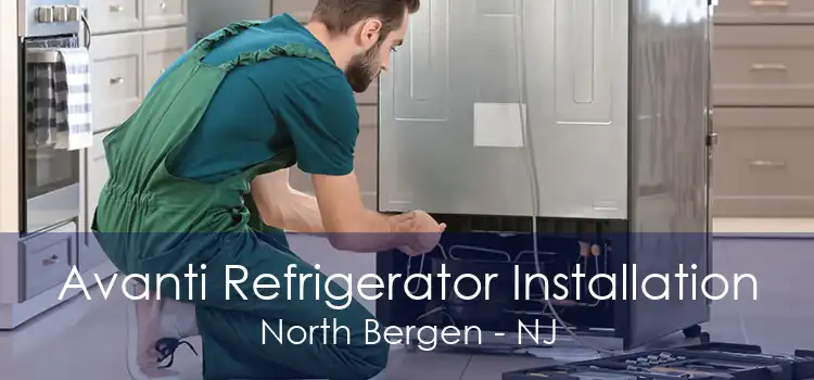 Avanti Refrigerator Installation North Bergen - NJ