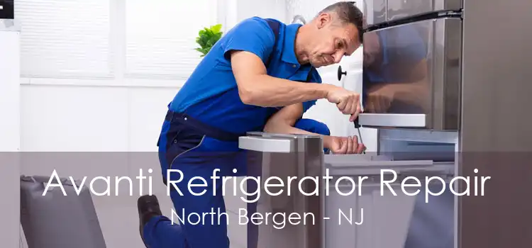 Avanti Refrigerator Repair North Bergen - NJ