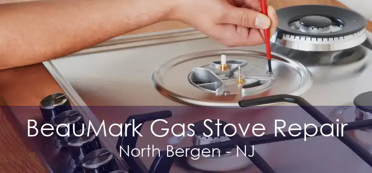 BeauMark Gas Stove Repair North Bergen - NJ