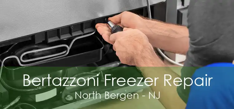 Bertazzoni Freezer Repair North Bergen - NJ