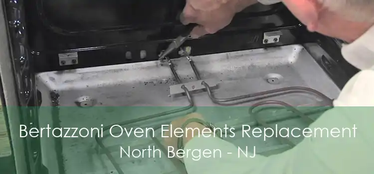 Bertazzoni Oven Elements Replacement North Bergen - NJ