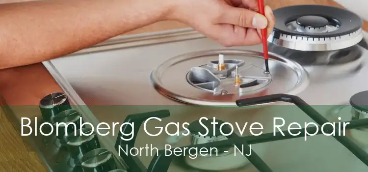 Blomberg Gas Stove Repair North Bergen - NJ