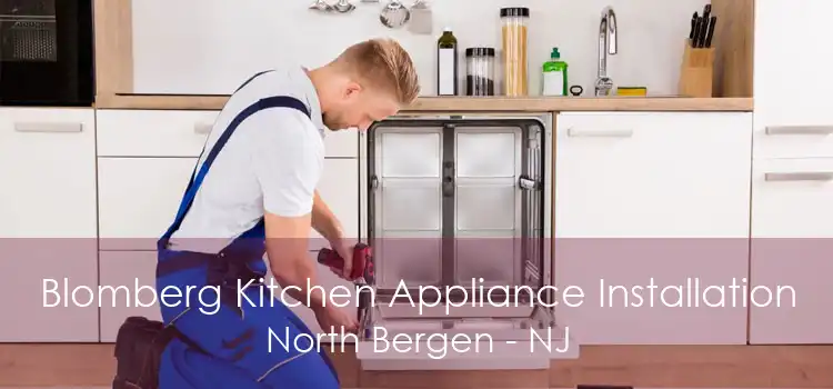 Blomberg Kitchen Appliance Installation North Bergen - NJ