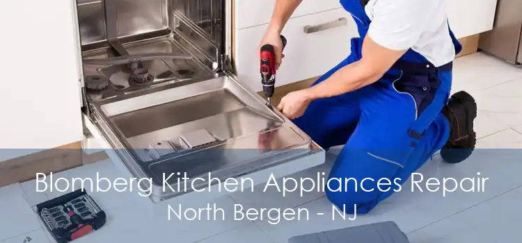 Blomberg Kitchen Appliances Repair North Bergen - NJ