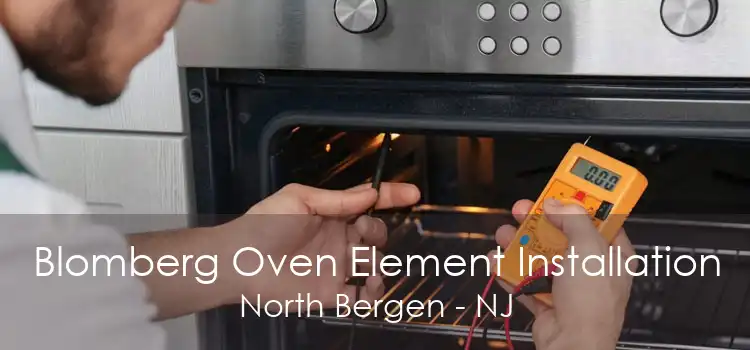 Blomberg Oven Element Installation North Bergen - NJ