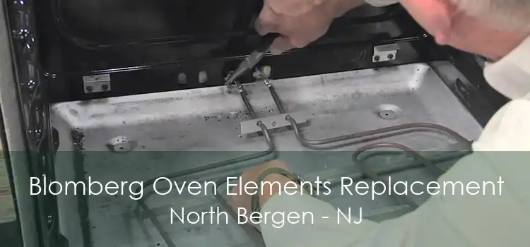 Blomberg Oven Elements Replacement North Bergen - NJ