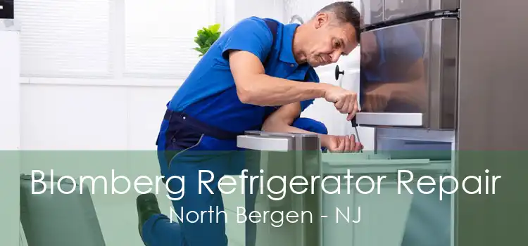 Blomberg Refrigerator Repair North Bergen - NJ
