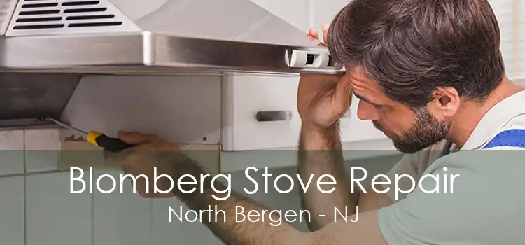 Blomberg Stove Repair North Bergen - NJ