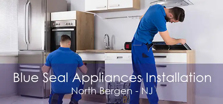 Blue Seal Appliances Installation North Bergen - NJ