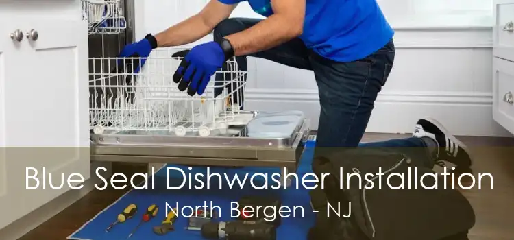 Blue Seal Dishwasher Installation North Bergen - NJ