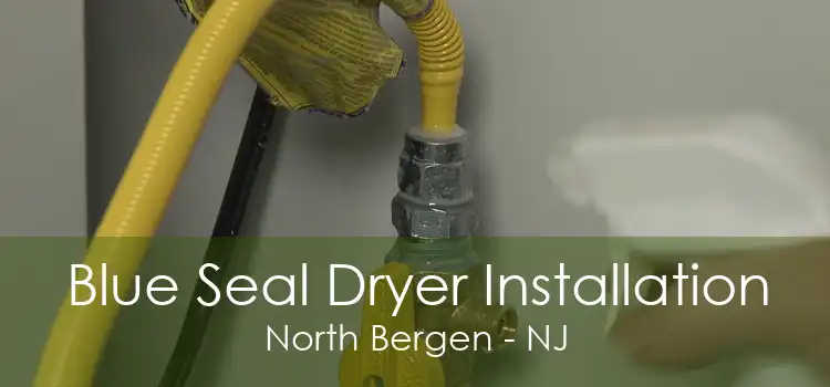 Blue Seal Dryer Installation North Bergen - NJ
