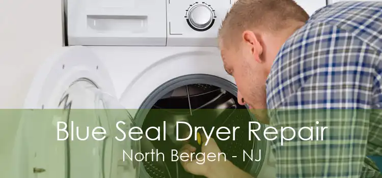 Blue Seal Dryer Repair North Bergen - NJ