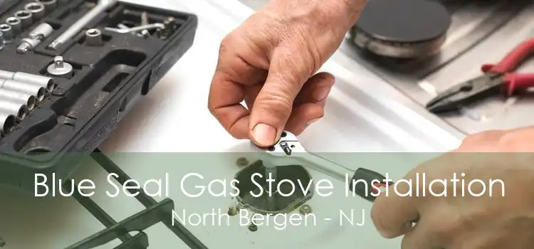 Blue Seal Gas Stove Installation North Bergen - NJ